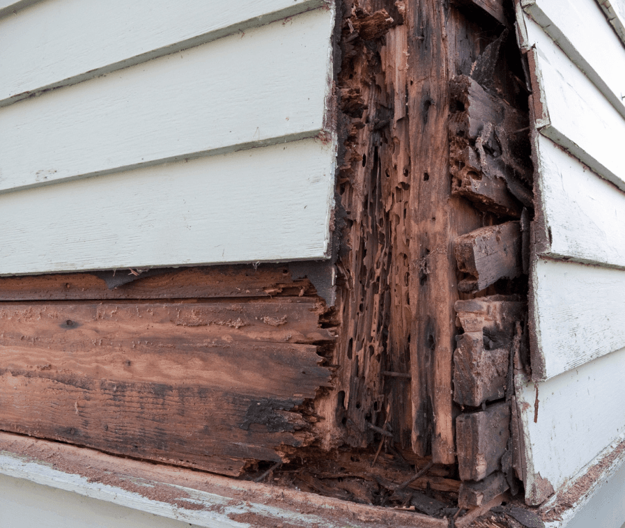 Carpentry & Home Improvement